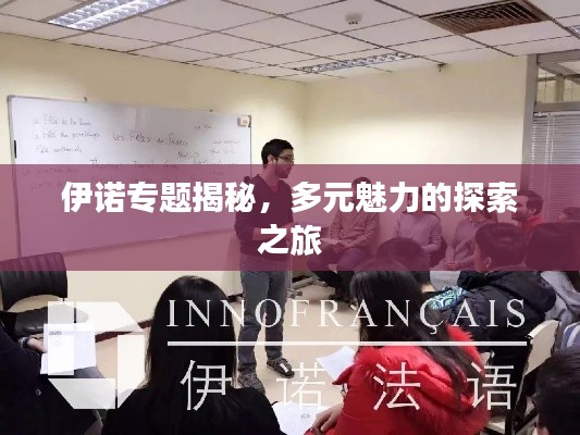 伊诺专题揭秘，多元魅力的探索之旅