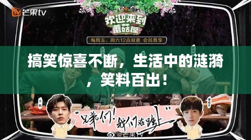 搞笑惊喜不断，生活中的涟漪，笑料百出！