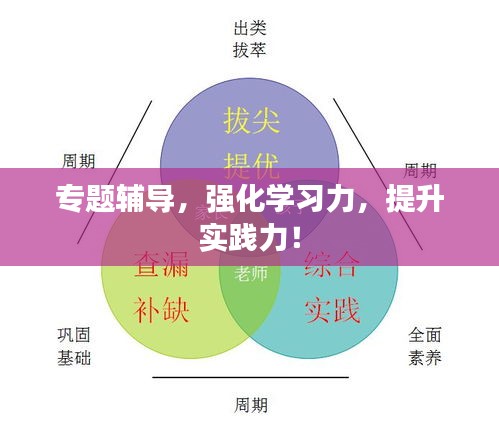 专题辅导，强化学习力，提升实践力！