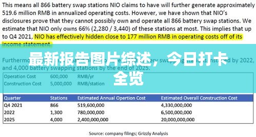 最新报告图片综述，今日打卡全览