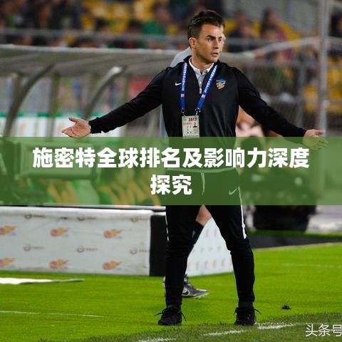 施密特全球排名及影响力深度探究