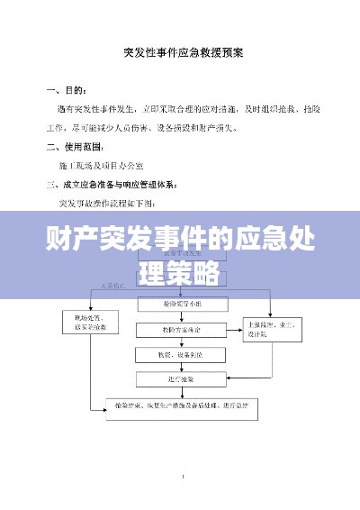 财产突发事件的应急处理策略