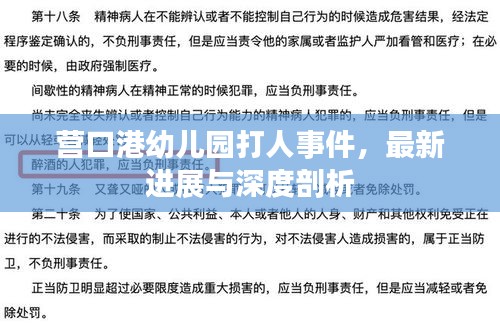 营口港幼儿园打人事件，最新进展与深度剖析