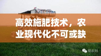 高效施肥技术，农业现代化不可或缺的选择！