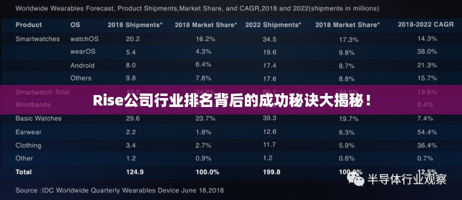 Rise公司行业排名背后的成功秘诀大揭秘！