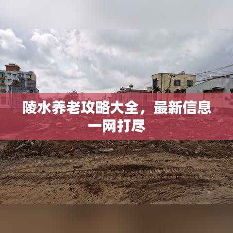 陵水养老攻略大全，最新信息一网打尽
