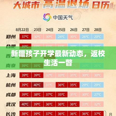 新疆孩子开学最新动态，返校生活一瞥