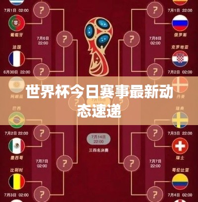 世界杯今日赛事最新动态速递