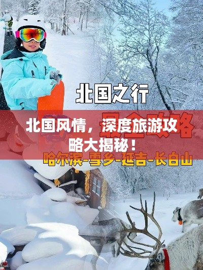 北国风情，深度旅游攻略大揭秘！
