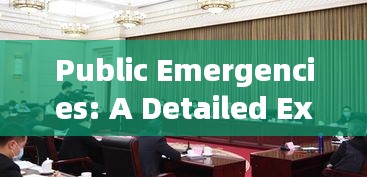 Public Emergencies: A Detailed Examination in English