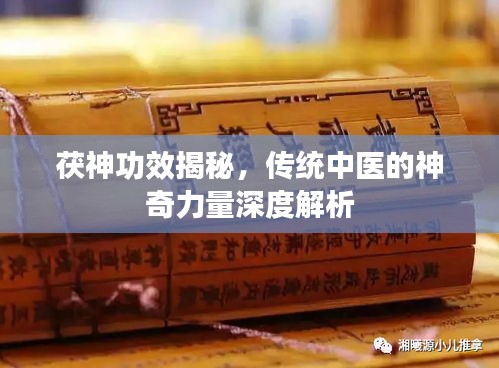 茯神功效揭秘，传统中医的神奇力量深度解析