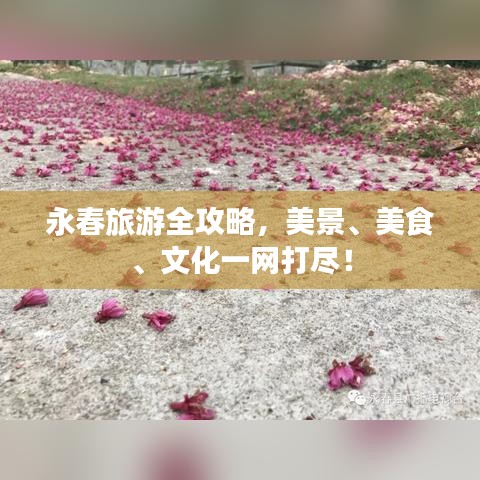 永春旅游全攻略，美景、美食、文化一网打尽！