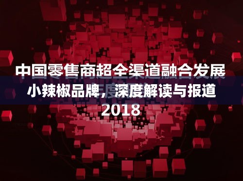 小辣椒品牌，深度解读与报道