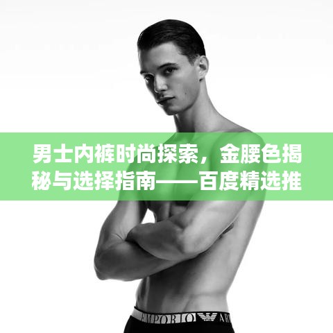 男士内裤时尚探索，金腰色揭秘与选择指南——百度精选推荐