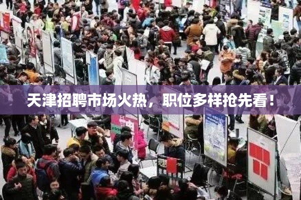 天津招聘市场火热，职位多样抢先看！