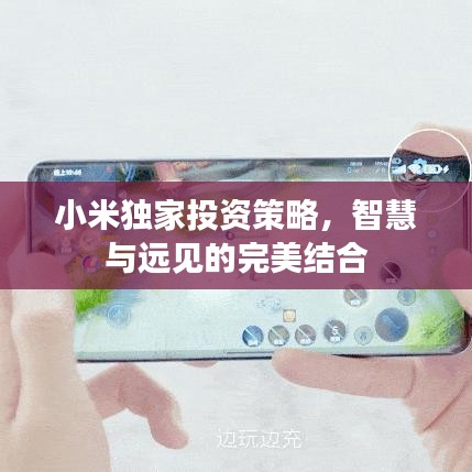 小米独家投资策略，智慧与远见的完美结合