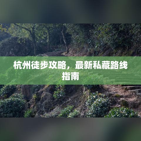 杭州徒步攻略，最新私藏路线指南