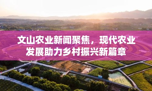 文山农业新闻聚焦，现代农业发展助力乡村振兴新篇章