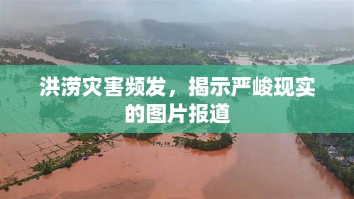 洪涝灾害频发，揭示严峻现实的图片报道