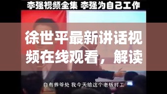 徐世平最新讲话视频在线观看，解读其观点与态度