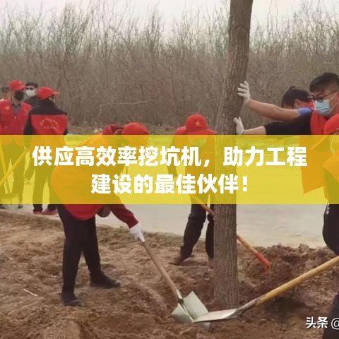 供应高效率挖坑机，助力工程建设的最佳伙伴！