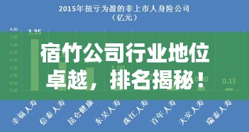 宿竹公司行业地位卓越，排名揭秘！