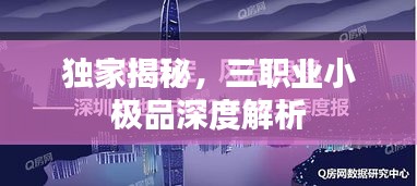 独家揭秘，三职业小极品深度解析