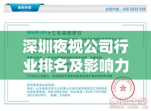深圳夜视公司行业排名及影响力深度解析