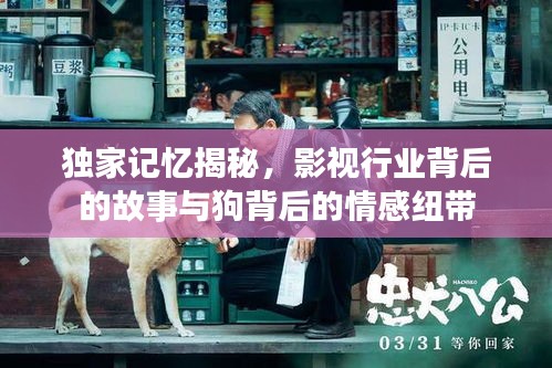独家记忆揭秘，影视行业背后的故事与狗背后的情感纽带