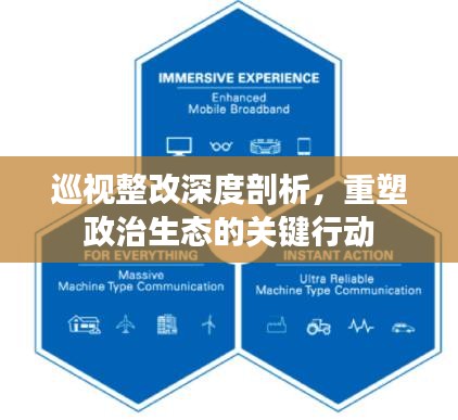 巡视整改深度剖析，重塑政治生态的关键行动