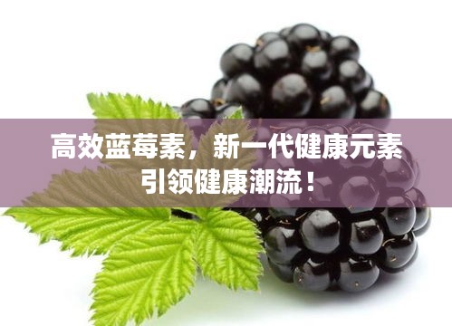 高效蓝莓素，新一代健康元素引领健康潮流！