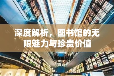 深度解析，图书馆的无限魅力与珍贵价值