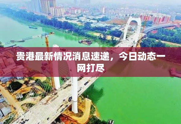 继晷焚膏 第2页