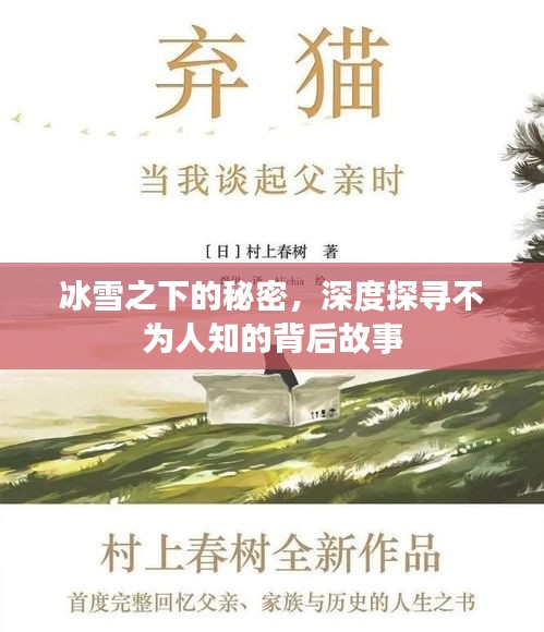 冰雪之下的秘密，深度探寻不为人知的背后故事