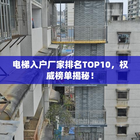 电梯入户厂家排名TOP10，权威榜单揭秘！