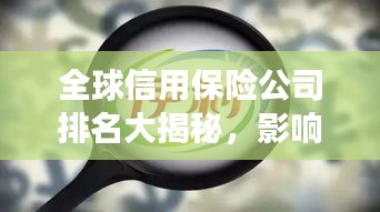 全球信用保险公司排名大揭秘，影响力深度剖析