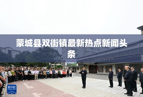 蒙城县双街镇最新热点新闻头条