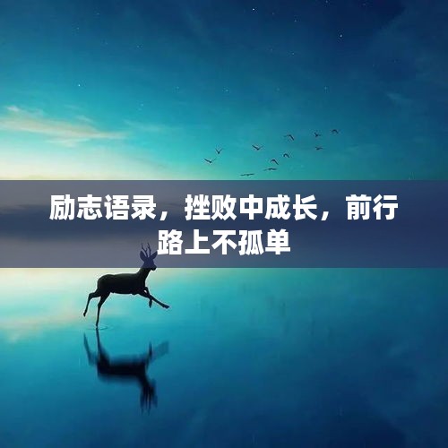 励志语录，挫败中成长，前行路上不孤单