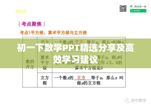 夭桃秾李 第2页