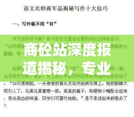 商砼站深度报道揭秘，专业写作方法与技巧