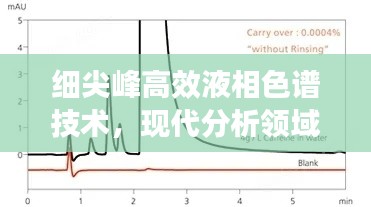 细尖峰高效液相色谱技术，现代分析领域的明星应用