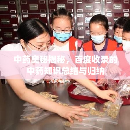中药奥秘揭秘，百度收录的中药知识总结与归纳