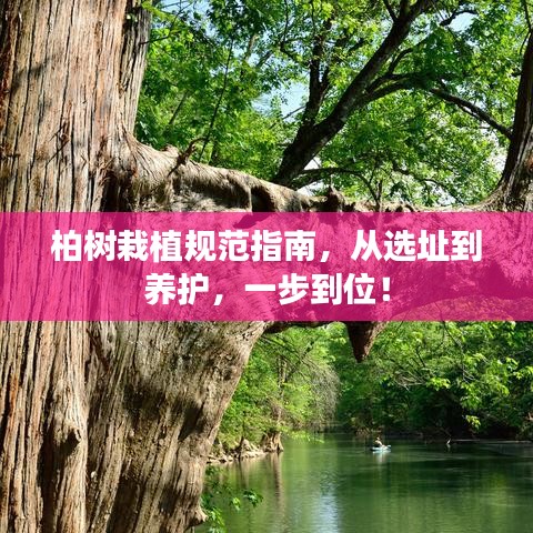 碧瓦飞甍 第2页