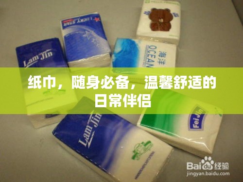 纸巾，随身必备，温馨舒适的日常伴侣