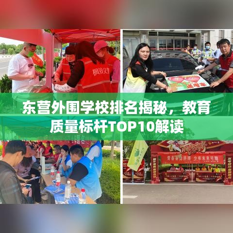 东营外围学校排名揭秘，教育质量标杆TOP10解读