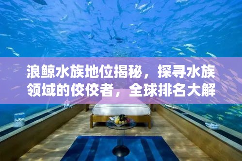 浪鲸水族地位揭秘，探寻水族领域的佼佼者，全球排名大解密！