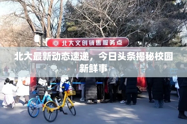 北大最新动态速递，今日头条揭秘校园新鲜事