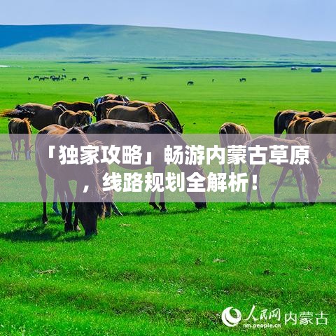「独家攻略」畅游内蒙古草原，线路规划全解析！