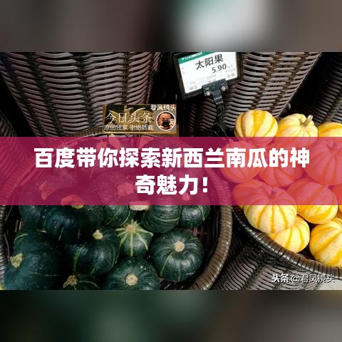 百度带你探索新西兰南瓜的神奇魅力！