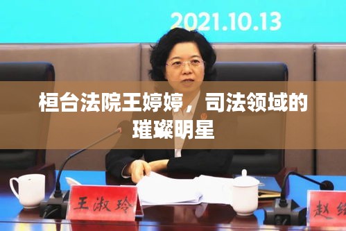 桓台法院王婷婷，司法领域的璀璨明星